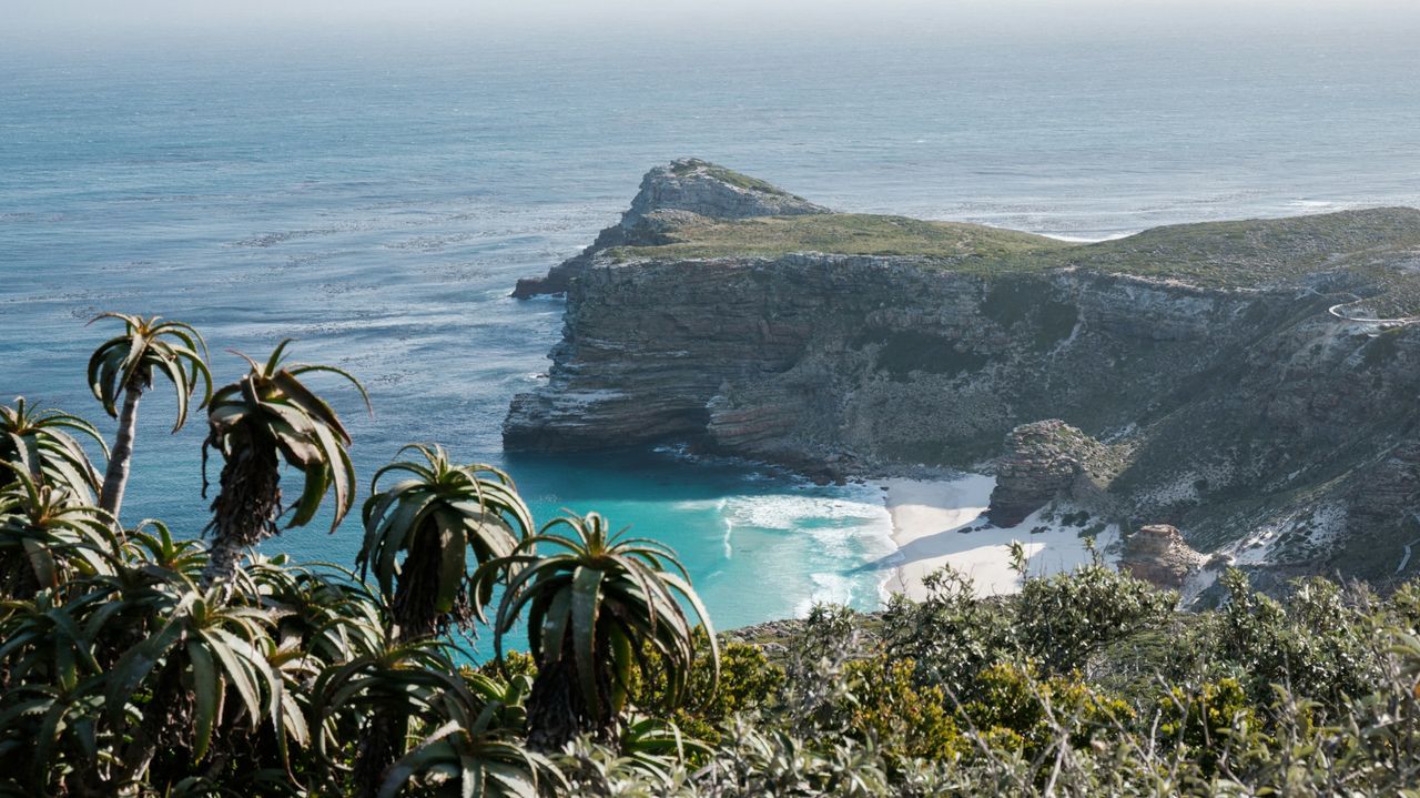 Kaap de Goede Hoop - ruige natuur en oceaan | Matoke Tours