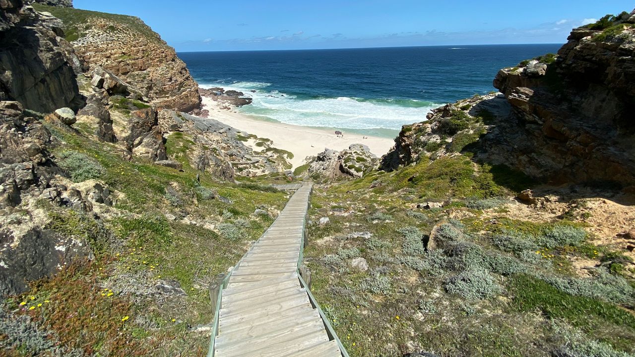 Kaap de Goede Hoop - ruige natuur en oceaan | Matoke Tours