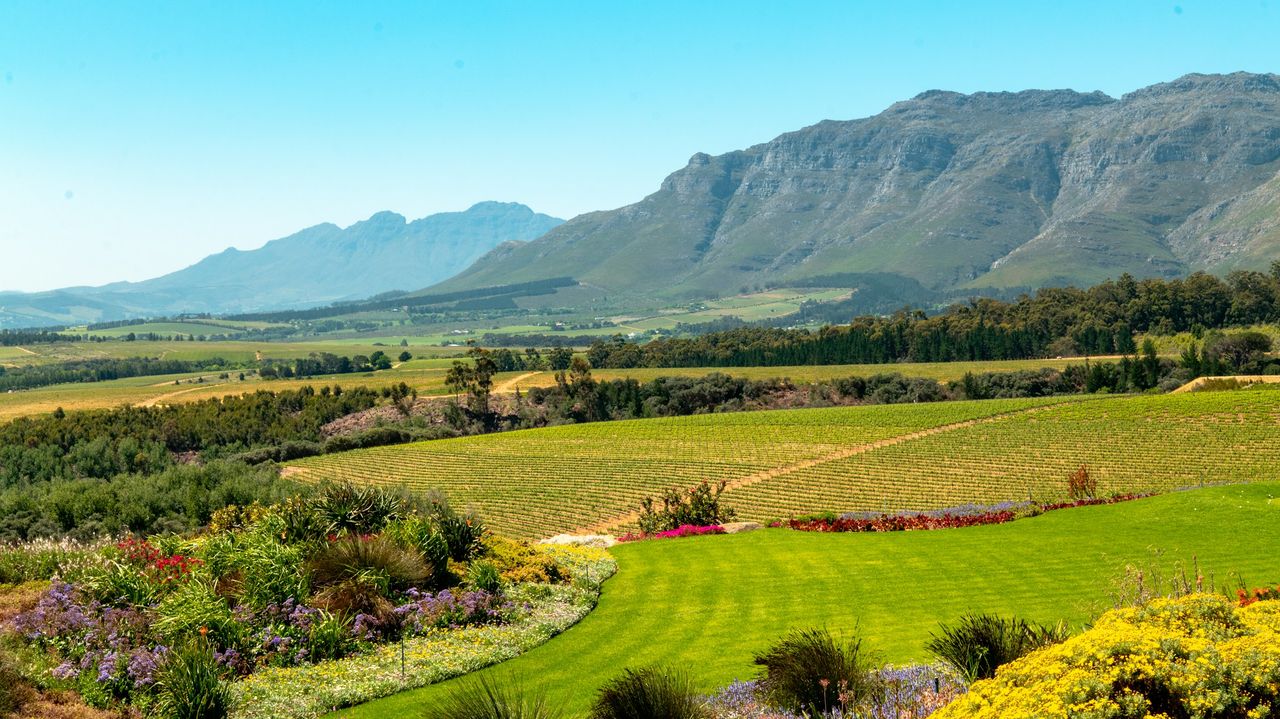 Stellenbosch - het wijnbouwcentrum van Zuid-Afrika | Matoke Tours