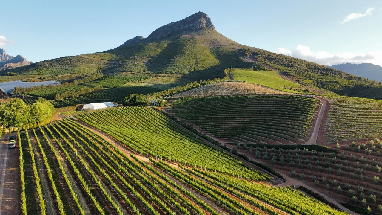 Stellenbosch - het wijnbouwcentrum van Zuid-Afrika | Matoke Tours