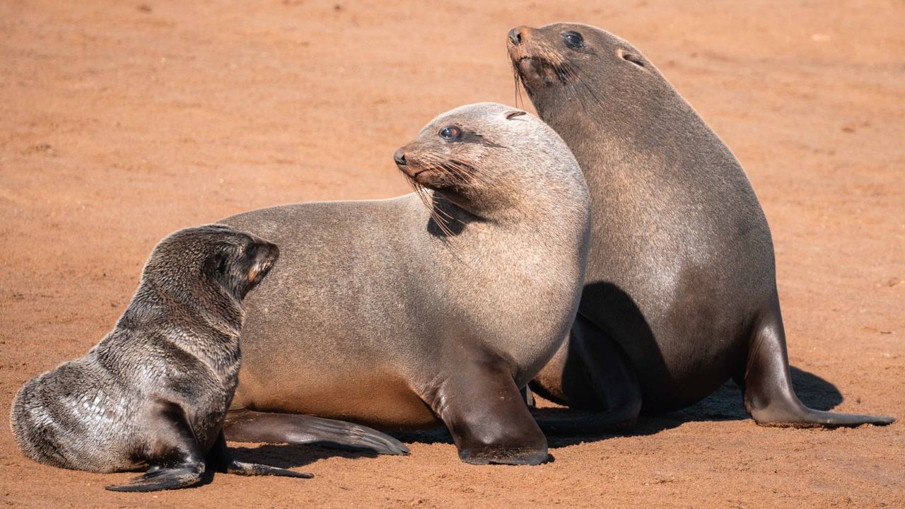 Zelf rijden in Namibië | Roadtrip Namibië & Zimbabwe