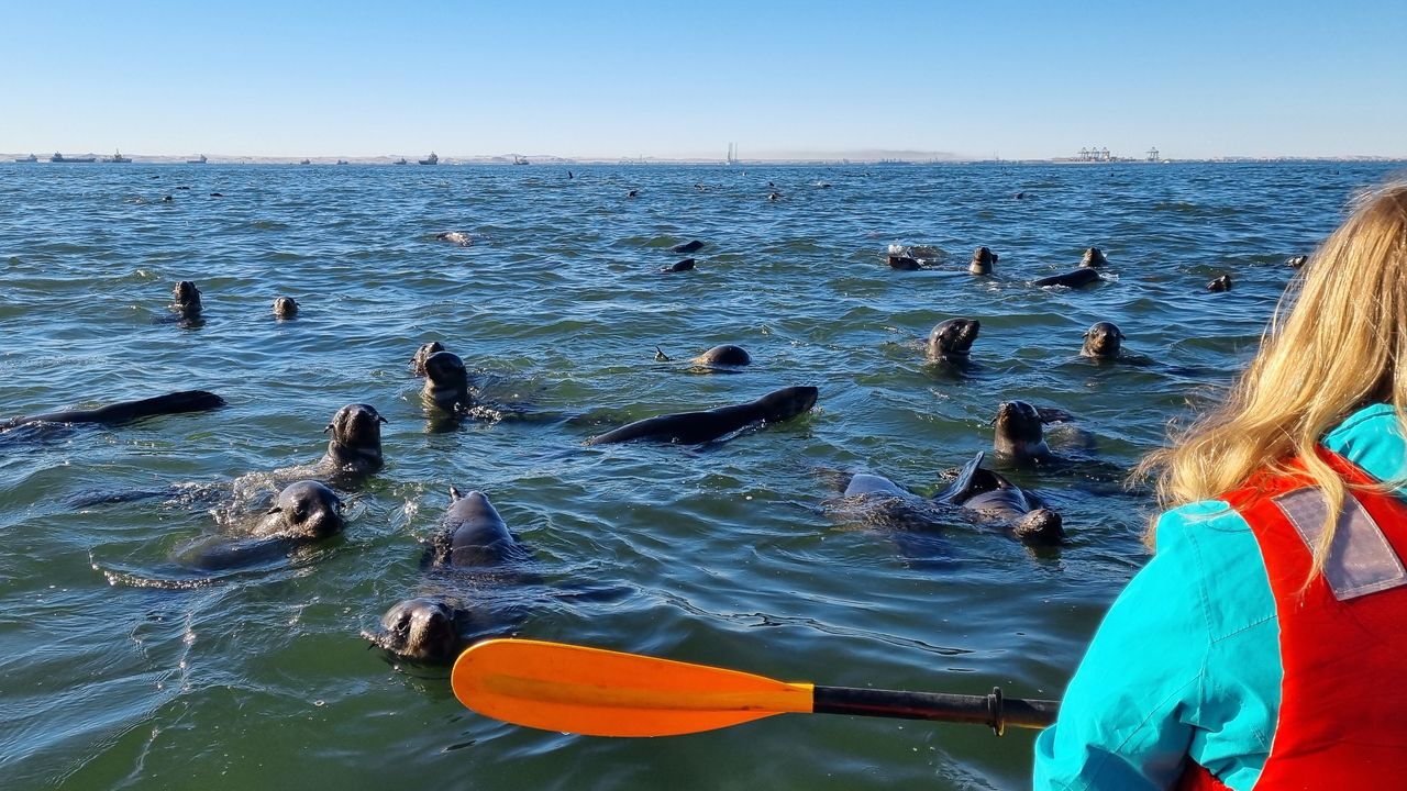 Zelf rijden in Namibië | Roadtrip Namibië & Zimbabwe