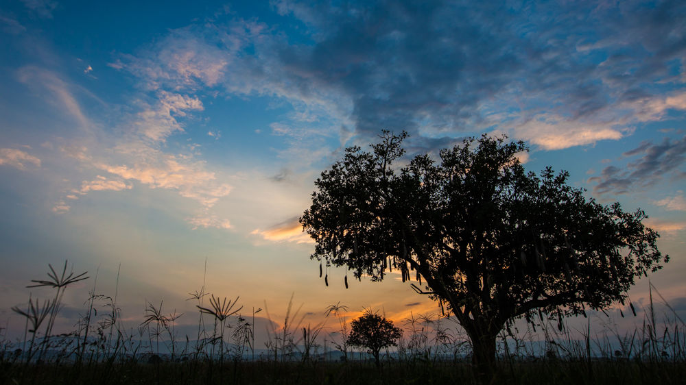 Kidepo Valley National Park – Matoke Tours