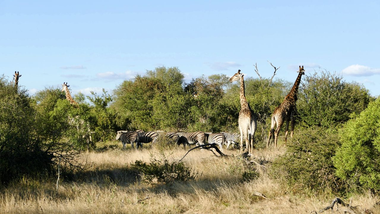 Rondreis Zuid-Afrika met strandvakantie op Zanzibar