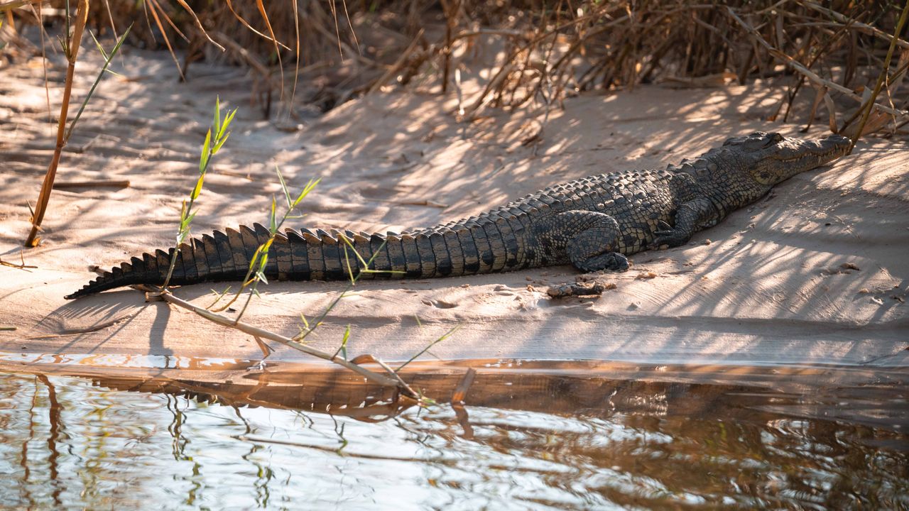 Zelf rijden in Namibië | Roadtrip Namibië & Zimbabwe