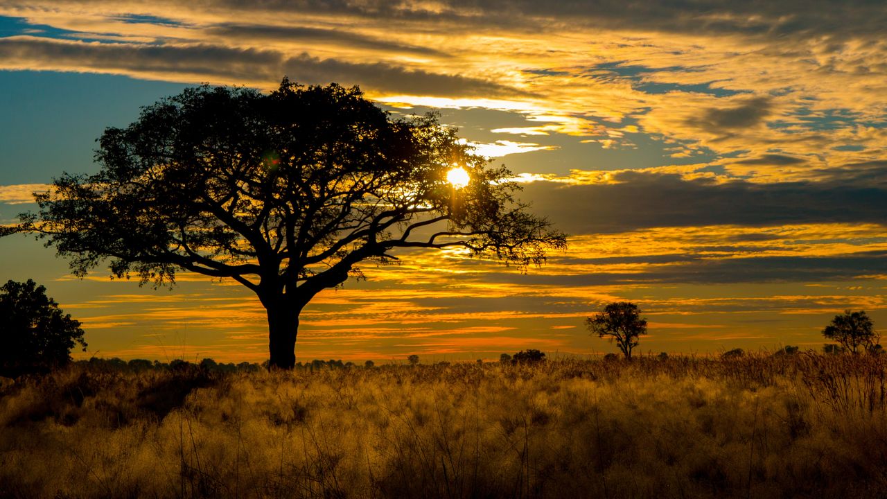 Okavango delta safari met Matoke Tours - Verlenging naar de delta