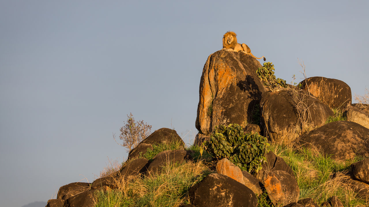 Oeganda groepsreis - Matoke Tours - Groepsreis Uganda