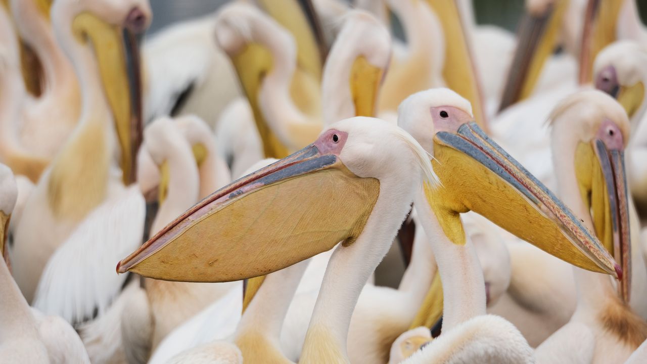 Fotograaf: Jolanda Lefers
Noteer naam en/of tag @lefersrobaard wanneer je deze foto gebruikt.