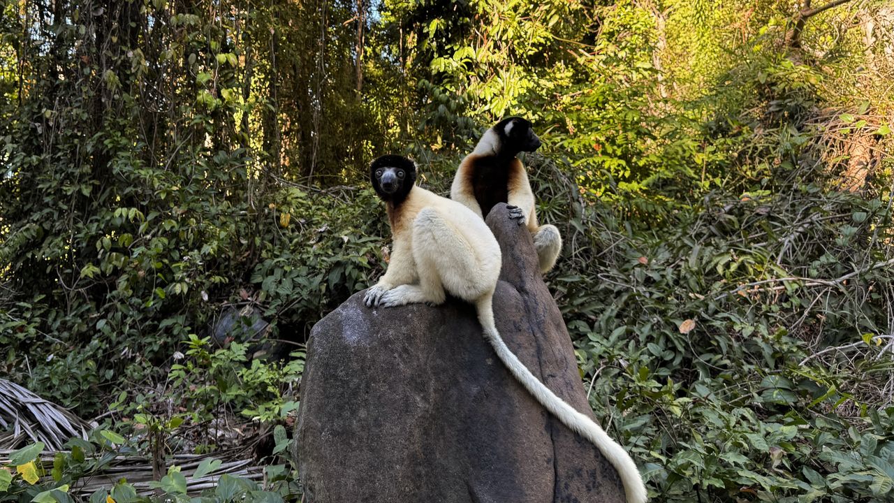 Reisspecialist Sanne op studiereis in Madagascar | Matoke Tours