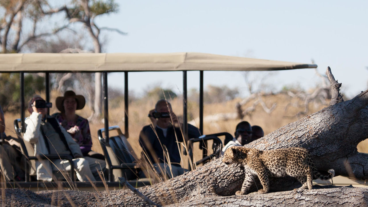 11-daagse reis 'het beste van Botswana' - Matoke Tours