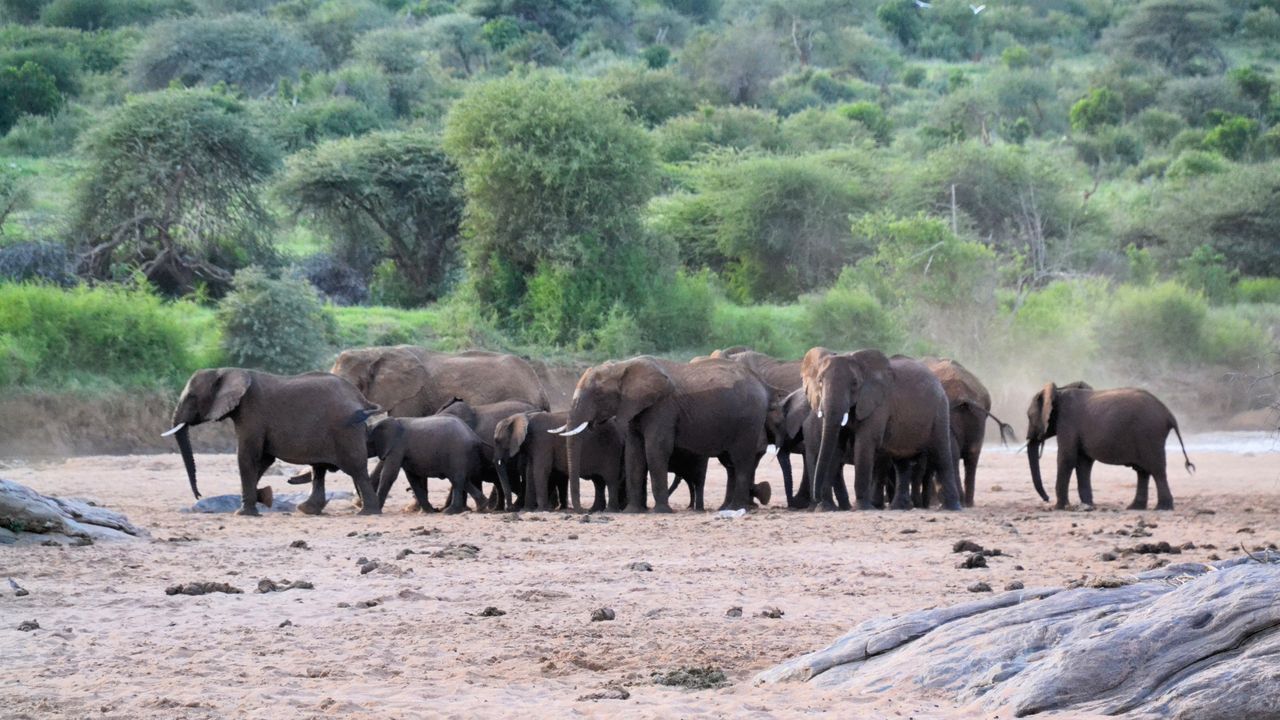 Reisspecialist Natasja op reis in Centraal Kenia | Matoke Tours