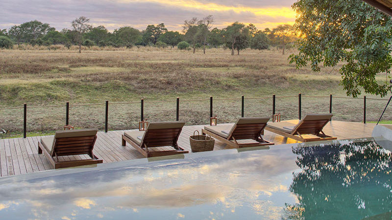 Safari South Luangwa nationaal park in Zambia - Matoke Tours