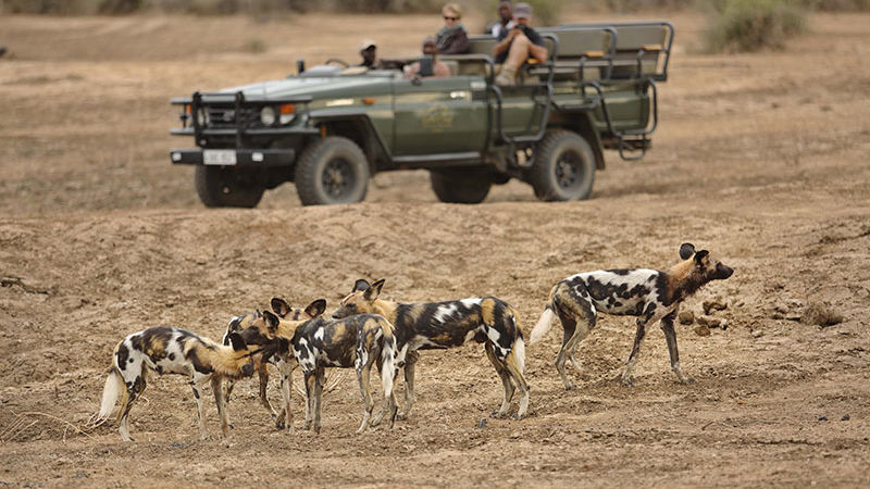 Reisverhaal Zambia: een luxe en exclusieve safari reis door Zambia