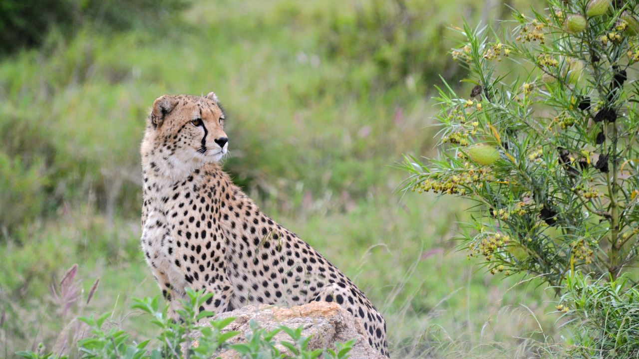 Reisspecialist Natasja op reis in Centraal Kenia | Matoke Tours