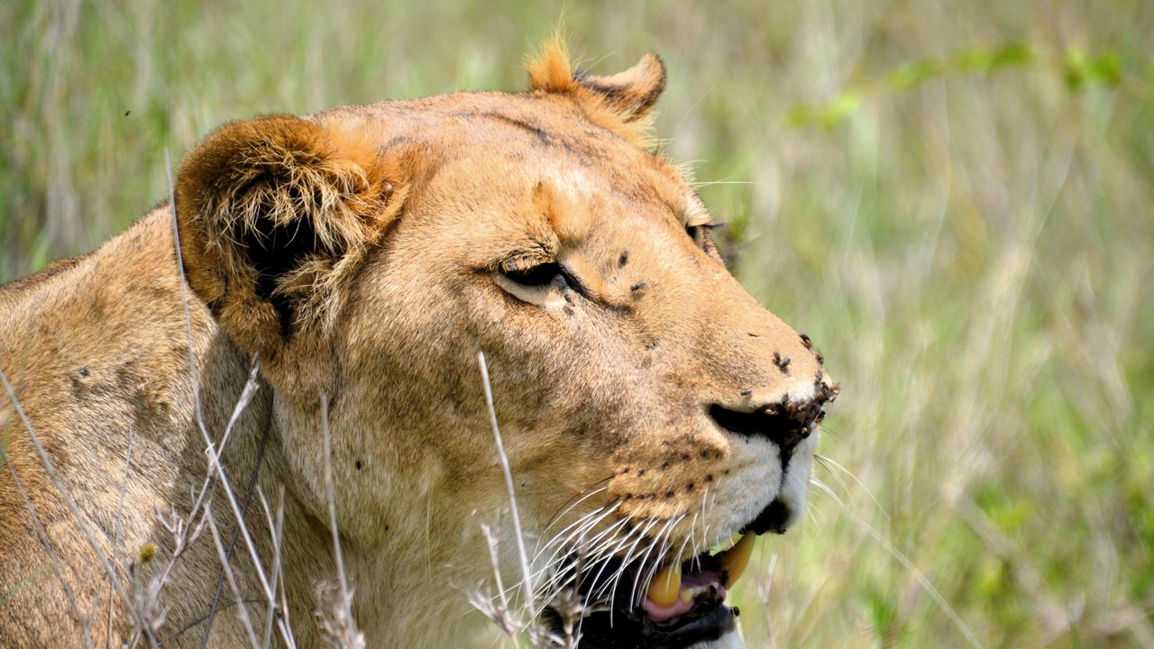 Reisspecialist Natasja op reis in Centraal Kenia | Matoke Tours