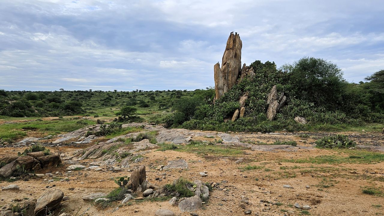 Reisspecialist Natasja op reis in Centraal Kenia | Matoke Tours