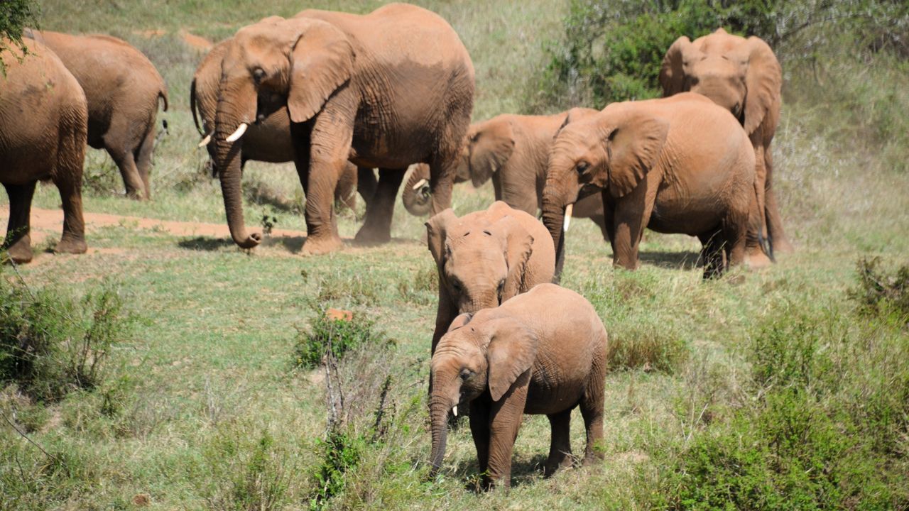 Reisspecialist Natasja op reis in Centraal Kenia | Matoke Tours
