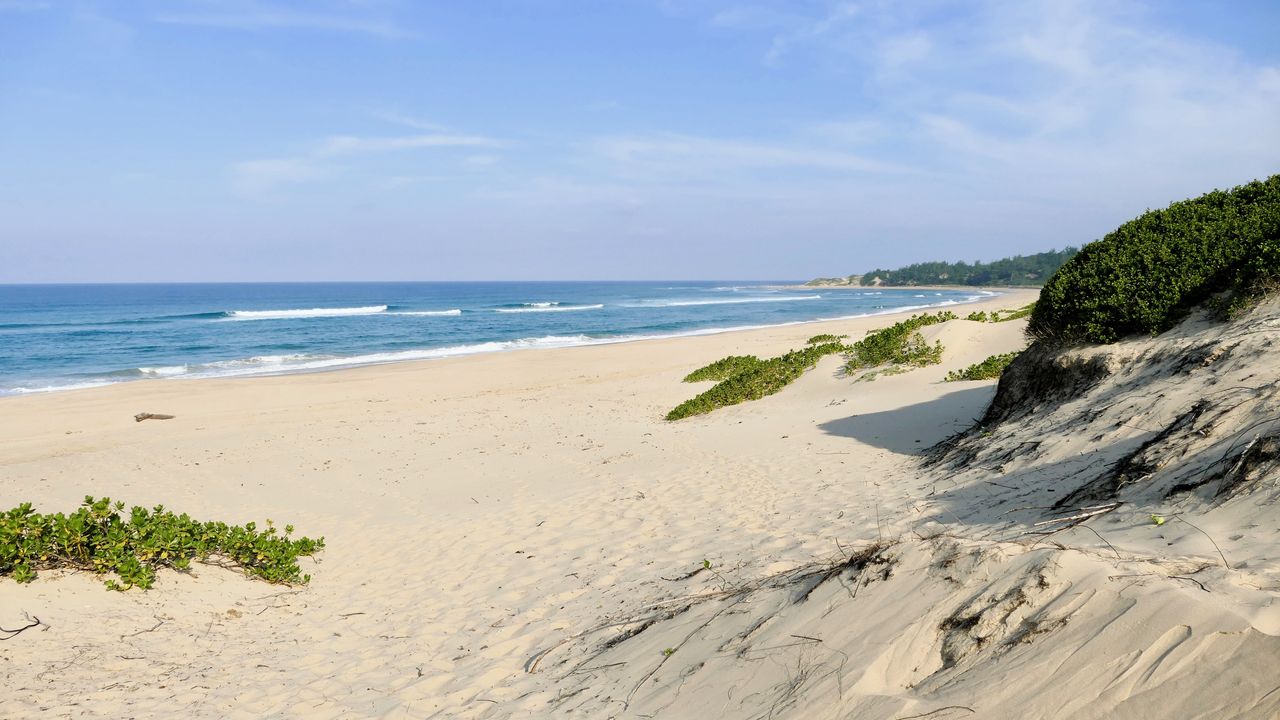 Drie weken Zuid-Afrika: 20-daagse reis Zuid Afrika, Lesotho en Eswatani