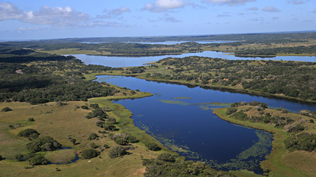 Safari Mozambique in Maputo National Park | Matoke Tours