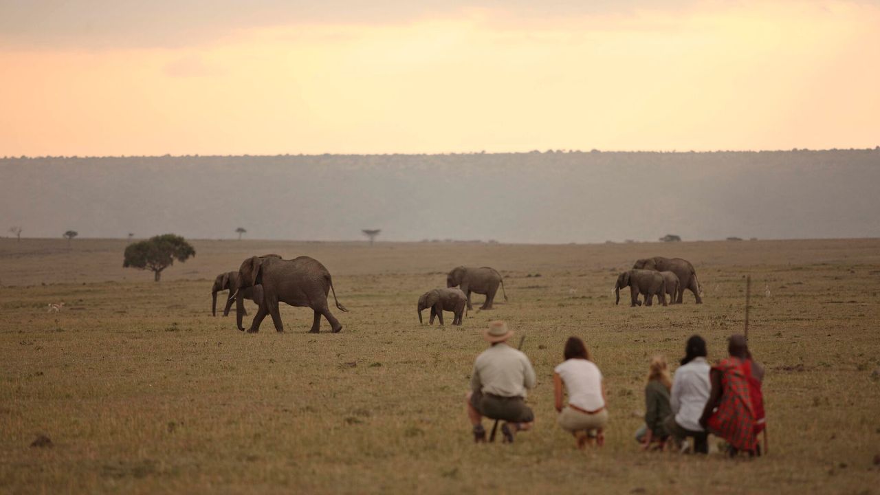 Masai Mara Safari - Bezoek Masai Mara National Park | Matoke Tours