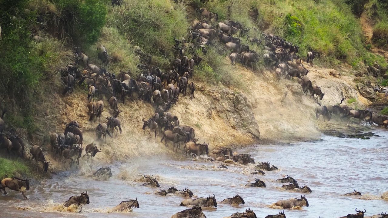 15-daagse Kenia en Seychellen reis | Matoke Tours