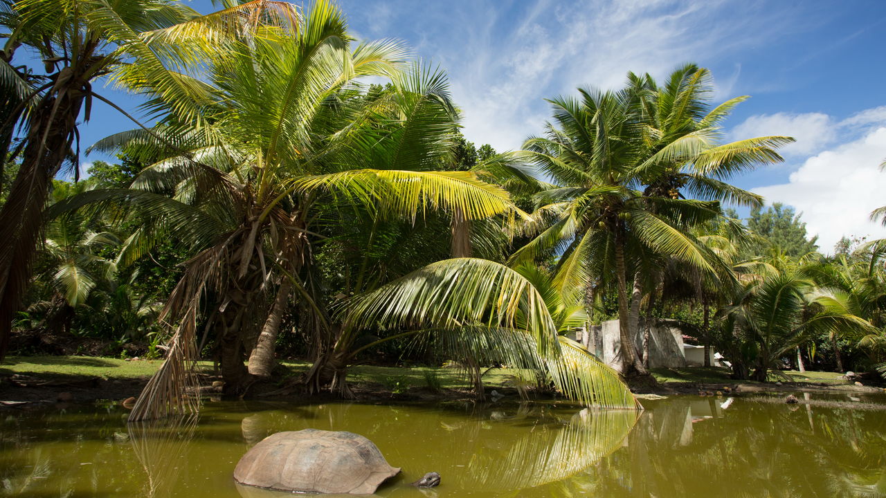 Praslin Island | Seychellen | Matoke Tours