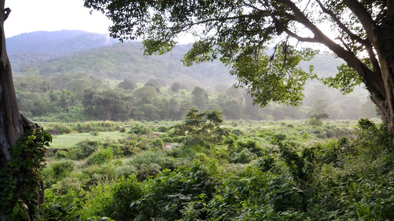 Reisspecialist Natasja op reis in Centraal Kenia | Matoke Tours