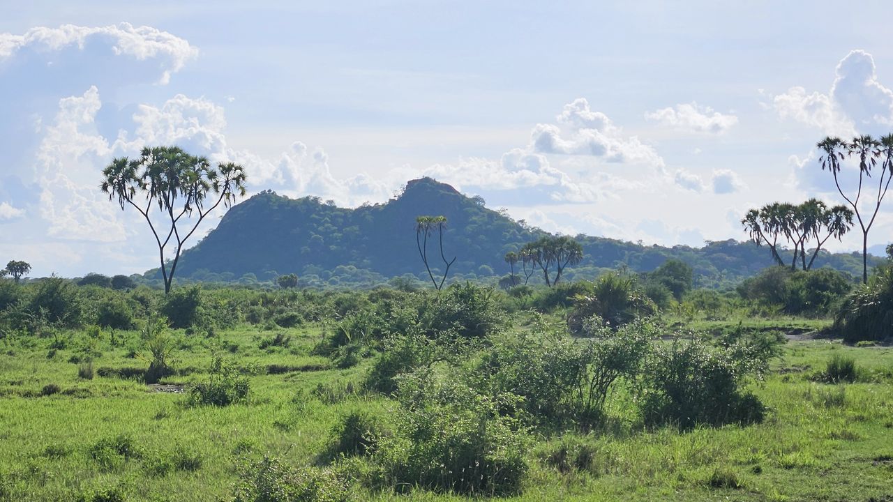 Reisspecialist Natasja op reis in Centraal Kenia | Matoke Tours