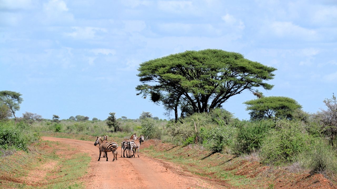 Reisspecialist Natasja op reis in Centraal Kenia | Matoke Tours
