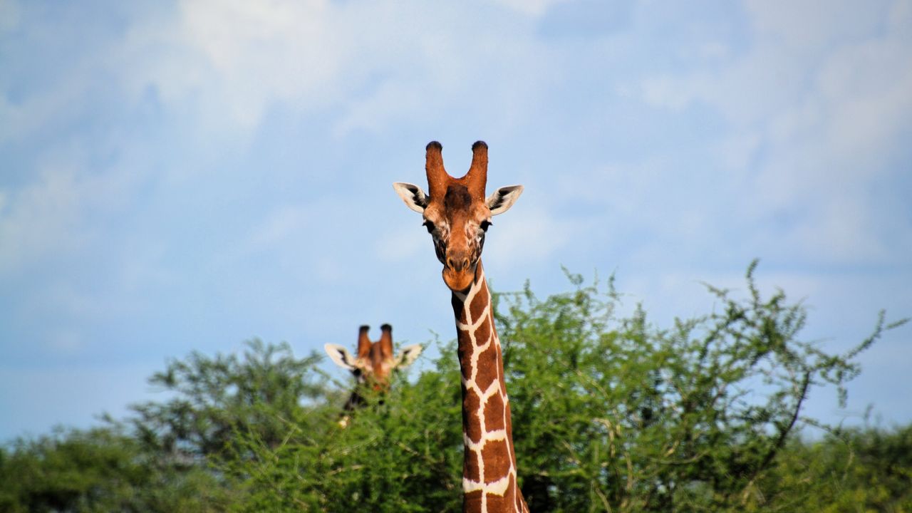 Reisspecialist Natasja op reis in Centraal Kenia | Matoke Tours