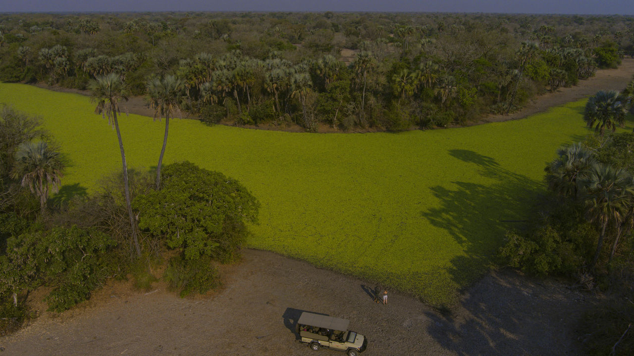 11-daagse privé reis Mozambique: safari en strand