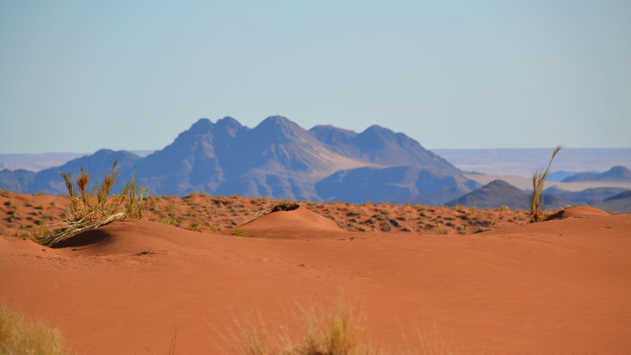 Matoke Tours reisspecialisten op studiereis in Namibië