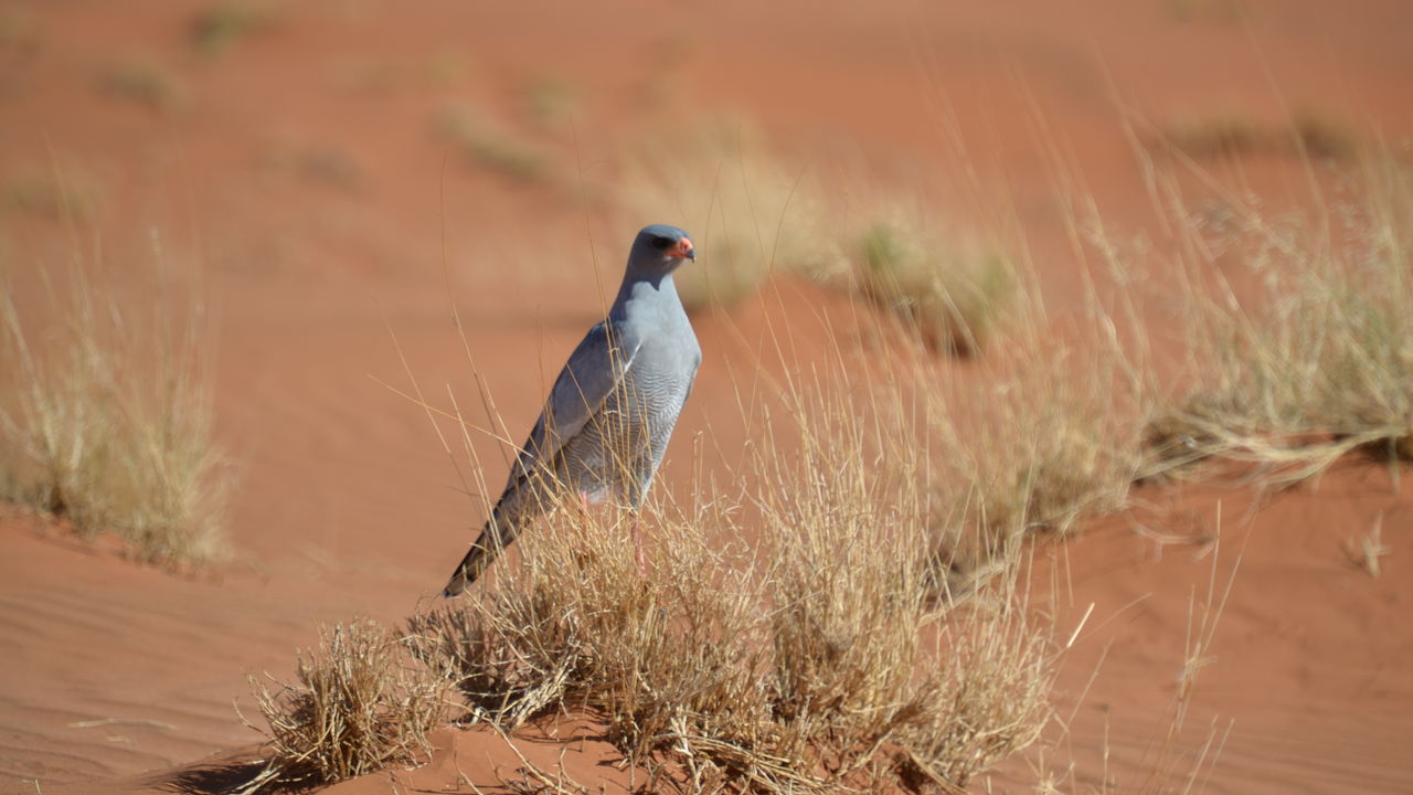 Matoke Tours reisspecialisten op studiereis in Namibië