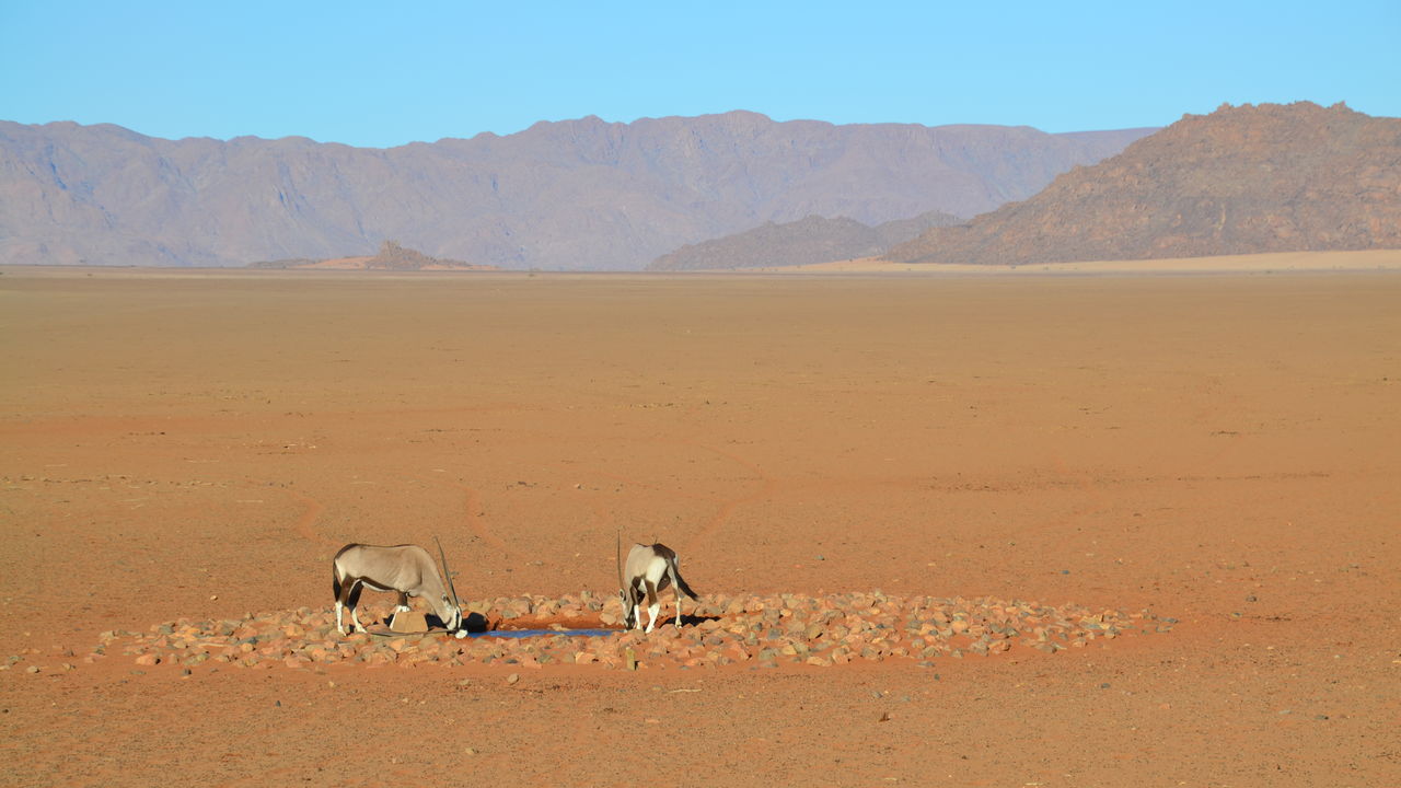 Matoke Tours reisspecialisten op studiereis in Namibië