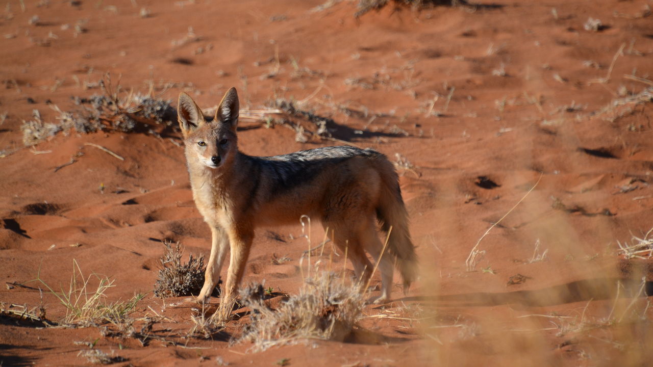 Matoke Tours reisspecialisten op studiereis in Namibië