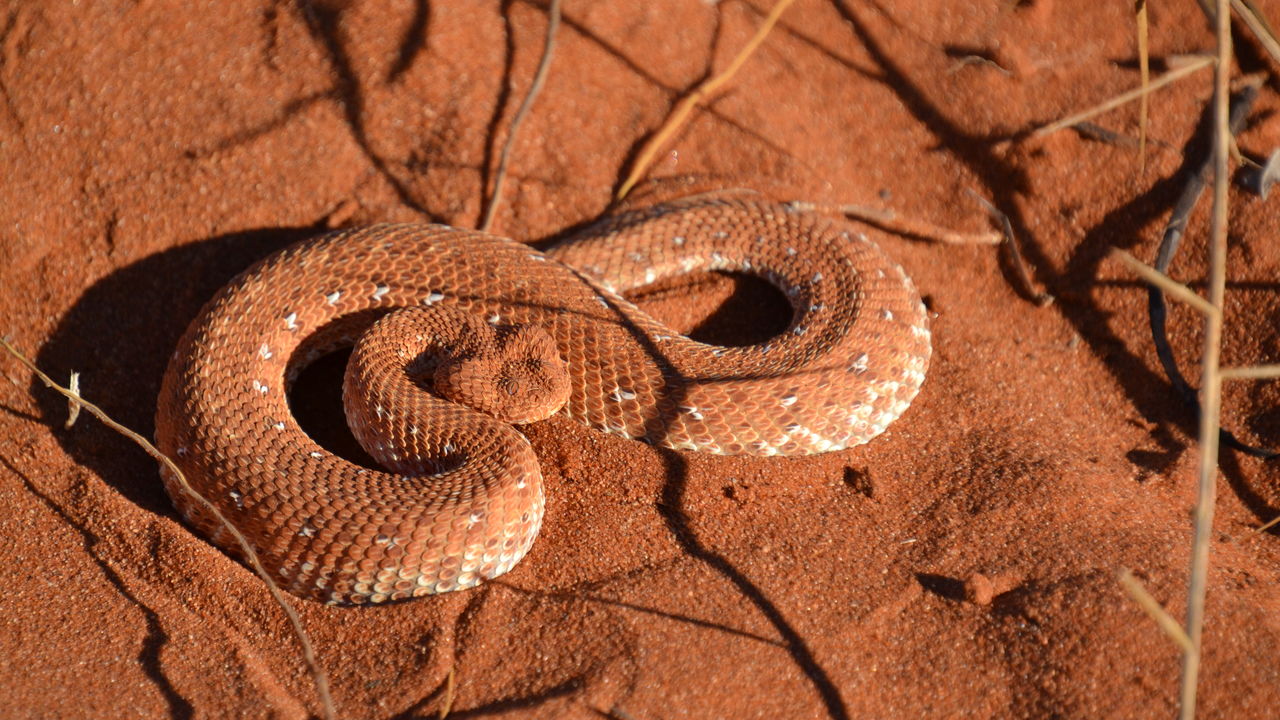 Matoke Tours reisspecialisten op studiereis in Namibië