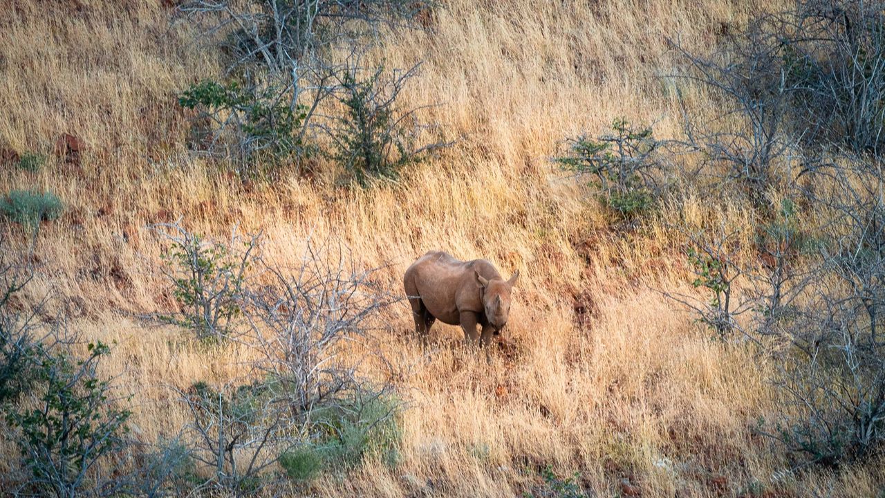 Zelf rijden in Namibië | Roadtrip Namibië & Zimbabwe