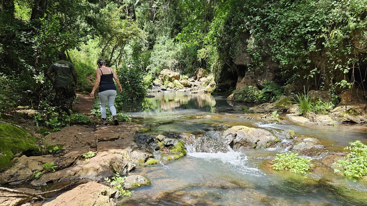 Reisspecialist Natasja op reis in Centraal Kenia | Matoke Tours