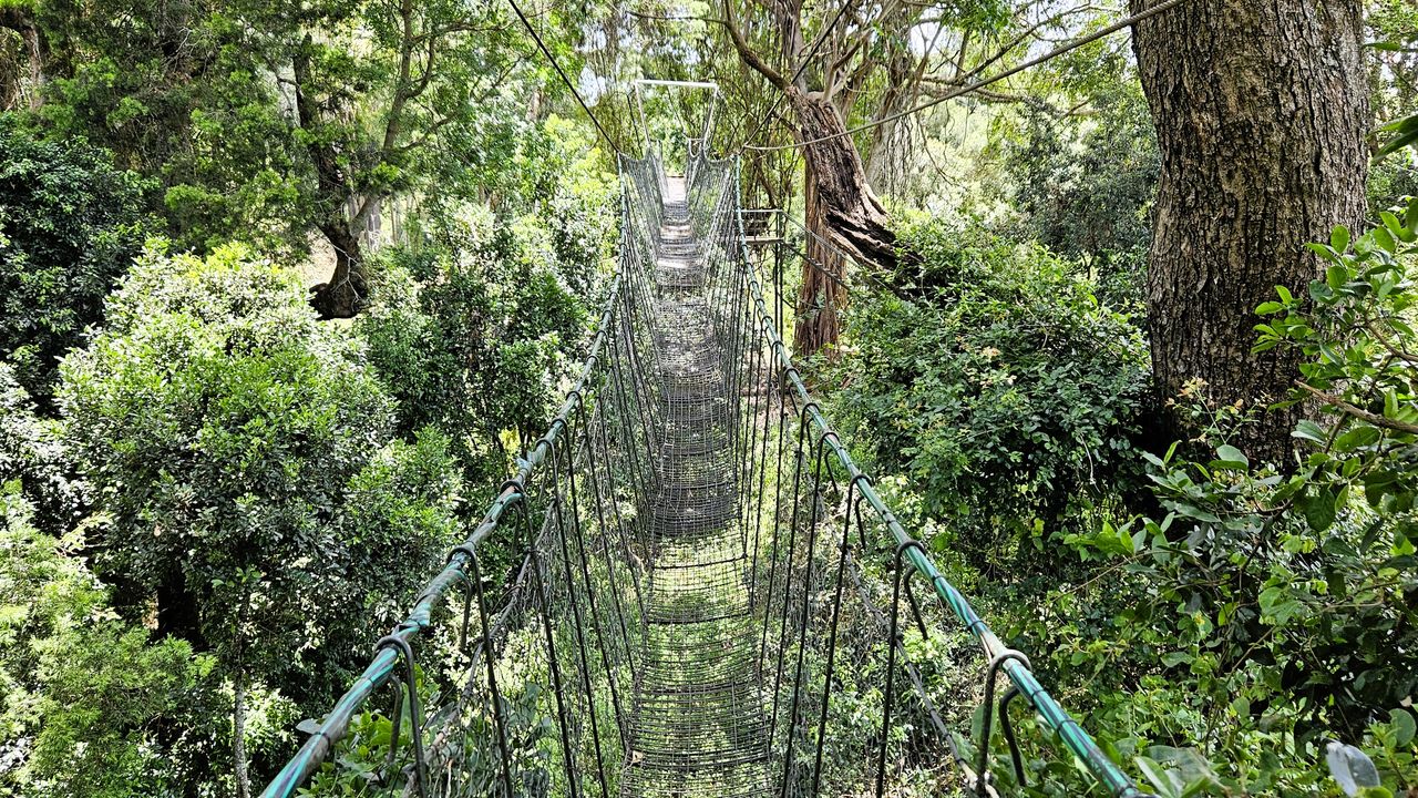 Reisspecialist Natasja op reis in Centraal Kenia | Matoke Tours