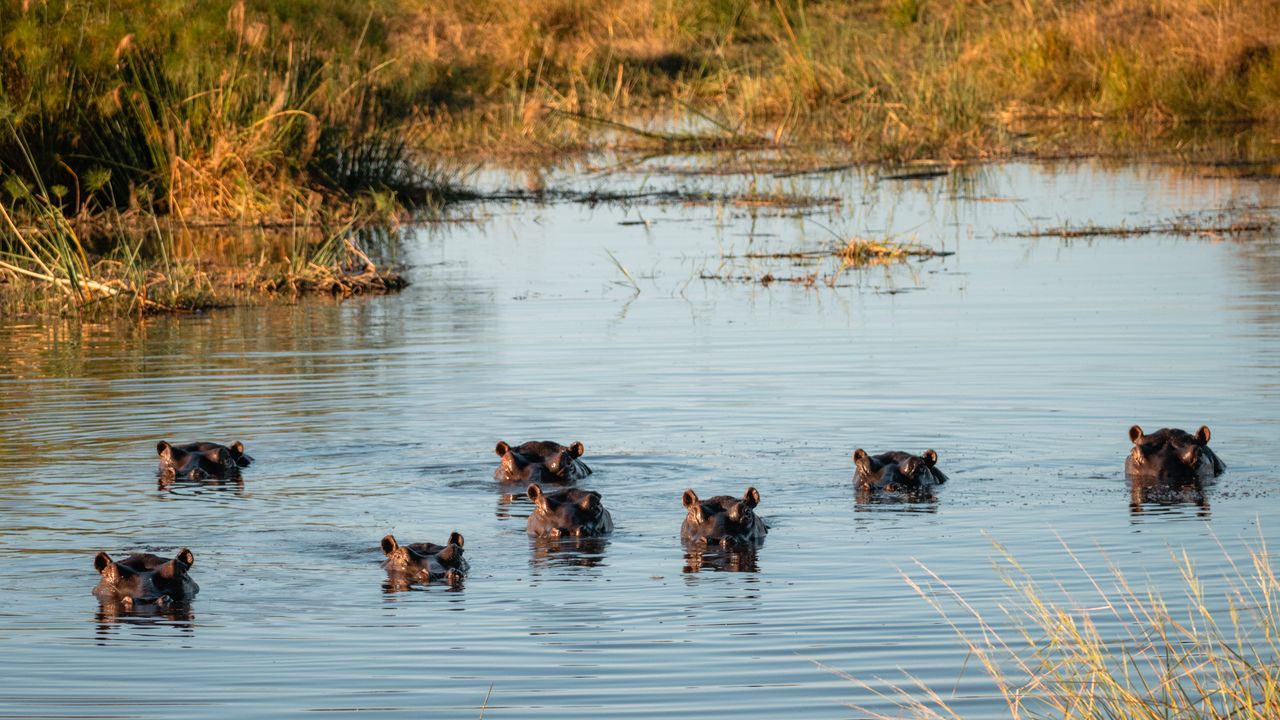 Reisinformatie Namibie | Matoke Tours