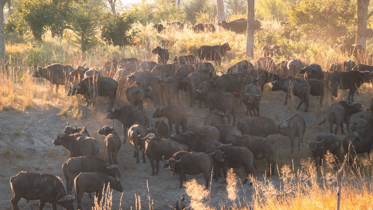 Zelf rijden in Namibië | Roadtrip Namibië & Zimbabwe