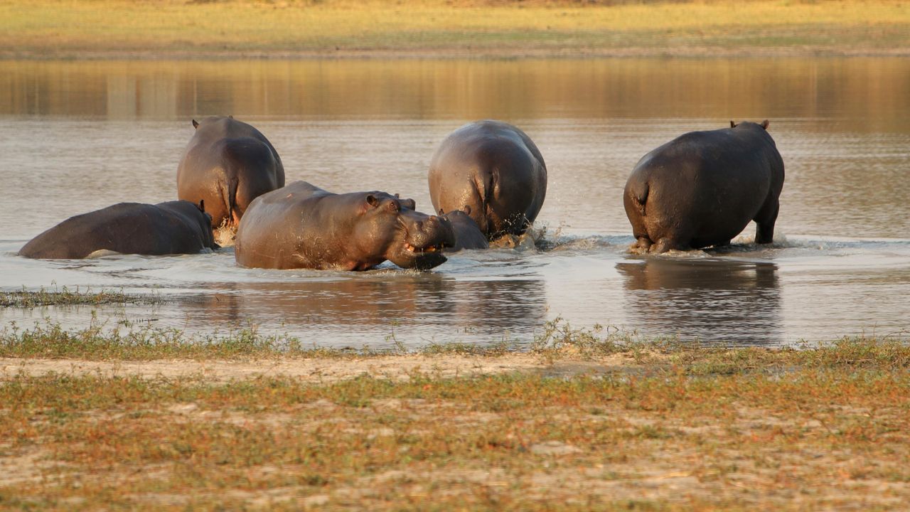 Reisspecialist Paula van Matoke Tours op studiereis in Botswana