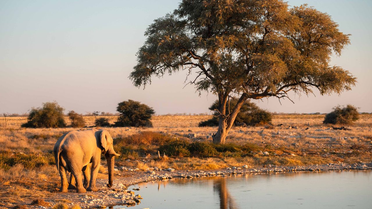 Zelf rijden in Namibië | Roadtrip Namibië & Zimbabwe