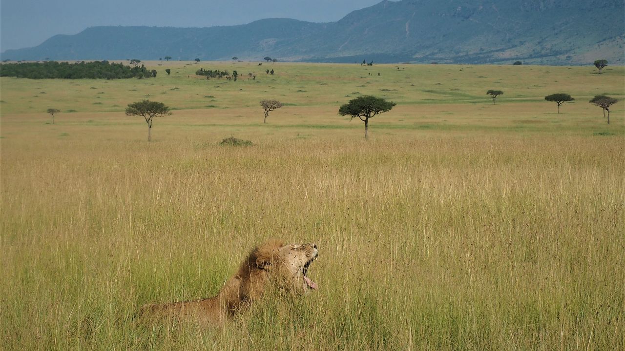 Oeganda en Kenia familiereis - Verken Oost Afrika met het gezin