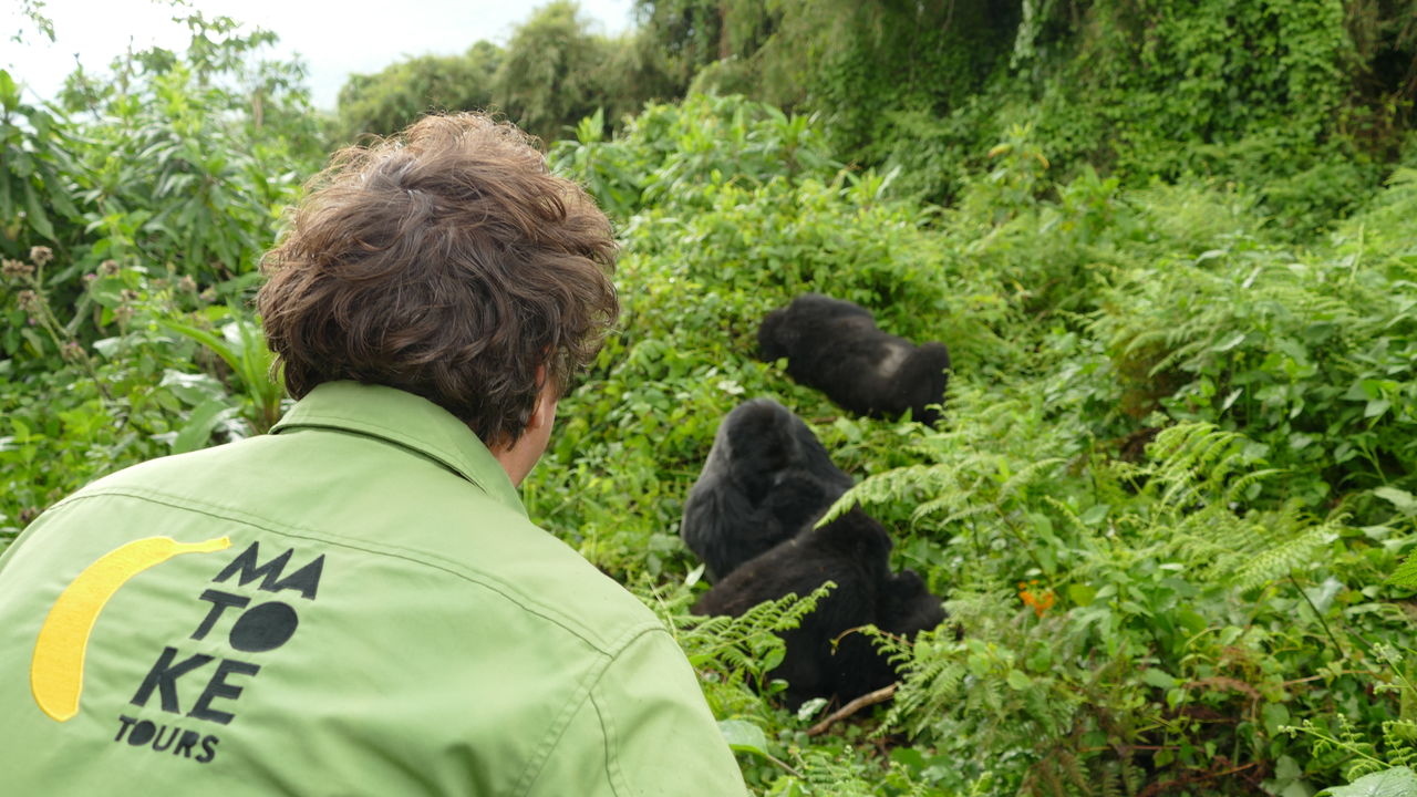 Oeganda groepsreis - Matoke Tours - Groepsreis Uganda