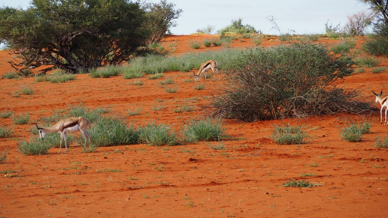 Reisspecialist Marit van Matoke Tours op studiereis in Namibië