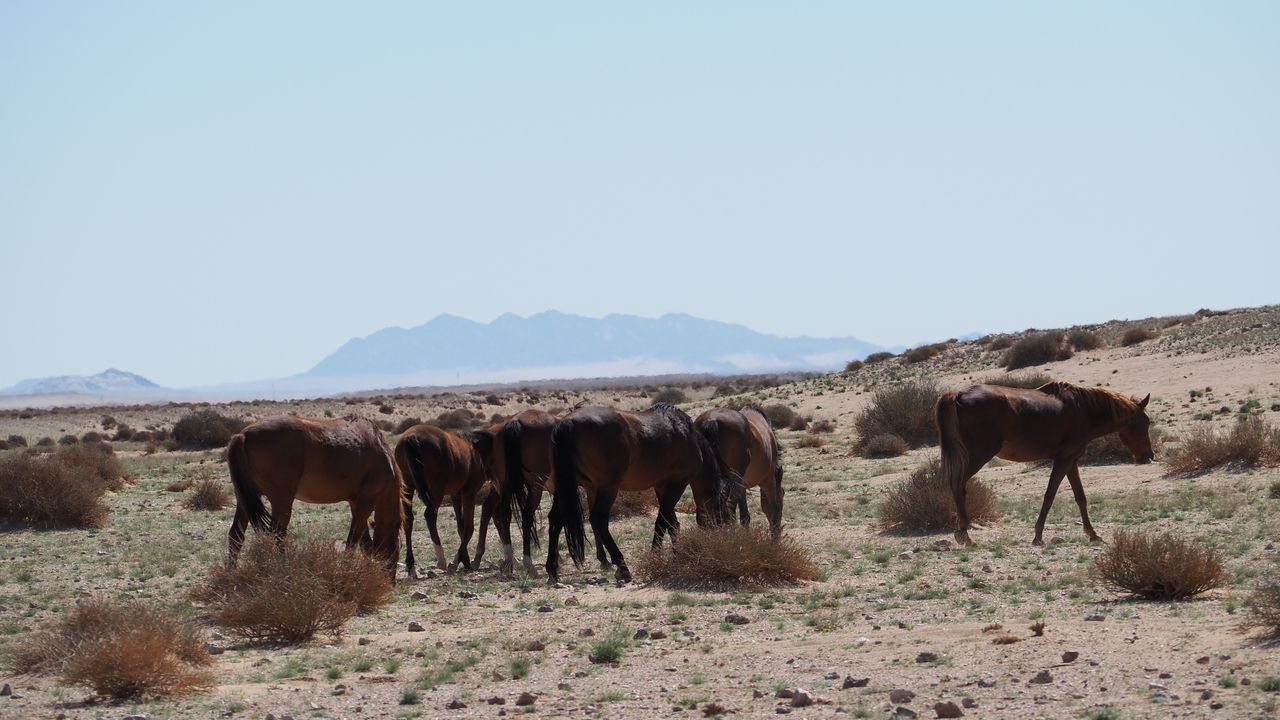 Reisspecialist Marit van Matoke Tours op studiereis in Namibië