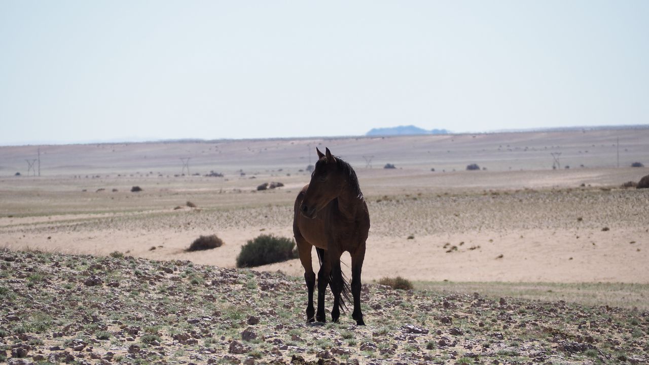 Reisspecialist Marit van Matoke Tours op studiereis in Namibië