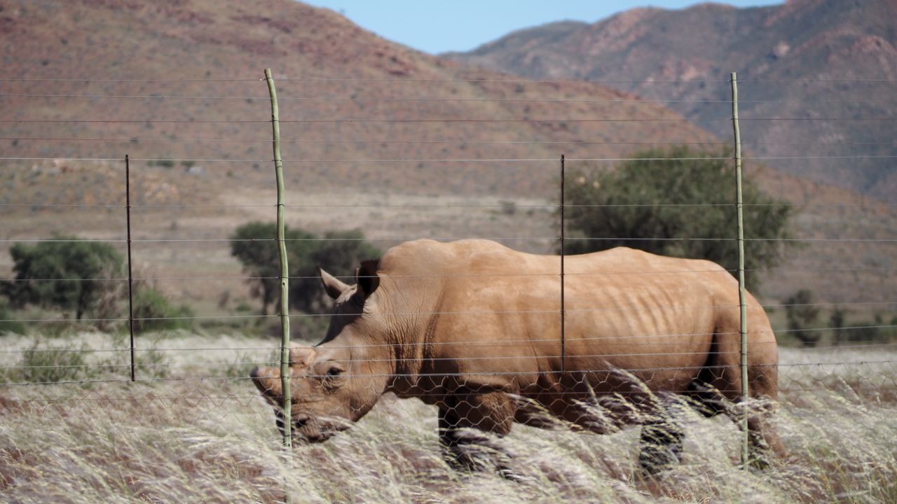 Reisspecialist Marit van Matoke Tours op studiereis in Namibië