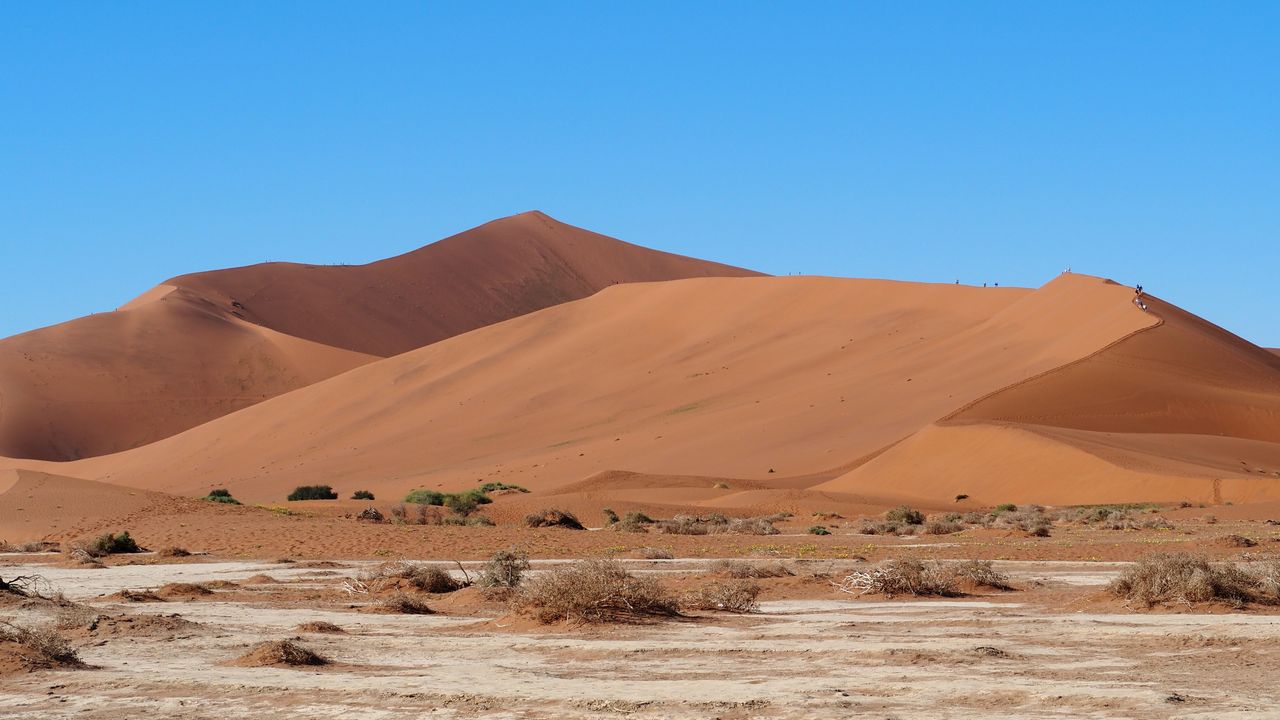 Reisspecialist Marit van Matoke Tours op studiereis in Namibië
